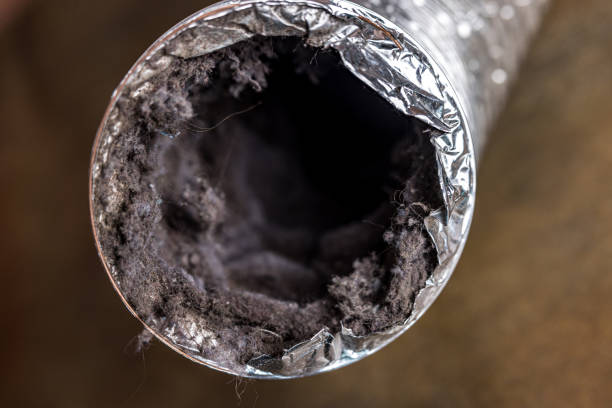 Best Air Duct Sanitizing Services  in Prairie City, IA