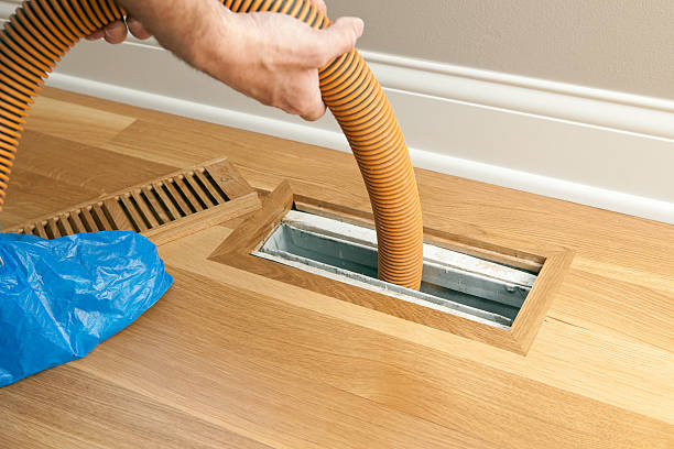 Best Home Air Vent Cleaning  in Prairie City, IA
