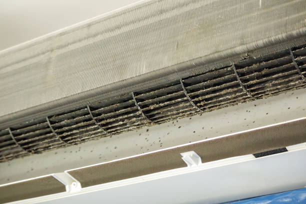 Best Dryer Vent Cleaning Services  in Prairie City, IA
