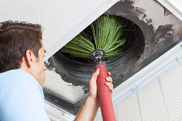 Best Air Duct Cleaning Near Me  in Prairie City, IA